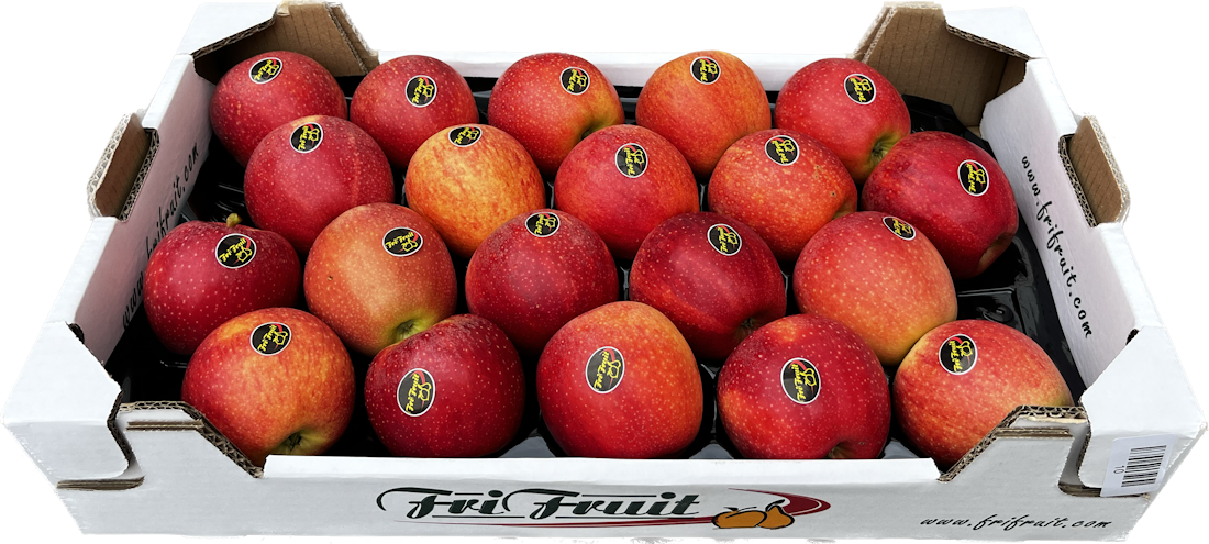 Frifruit S.A.T. - imagen 2
