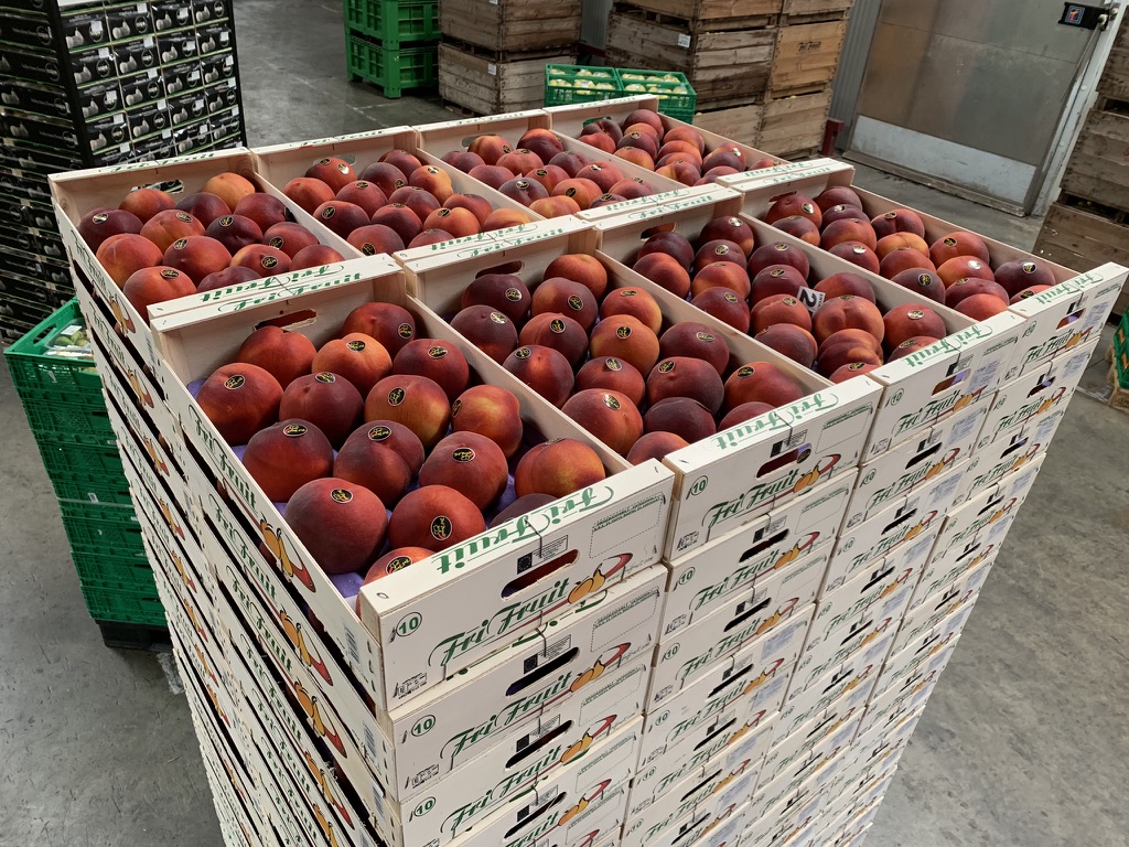 Frifruit S.A.T. - imagen 2