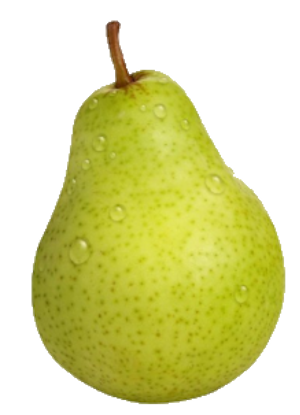 Frifruit S.A.T. - imagen 1