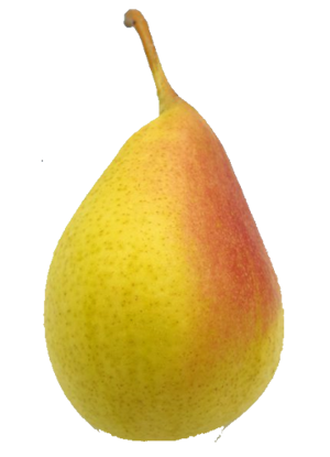 Peras Frifruit - imagen 6