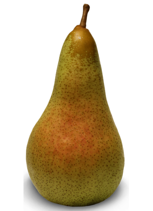 Peras Frifruit - imagen 2