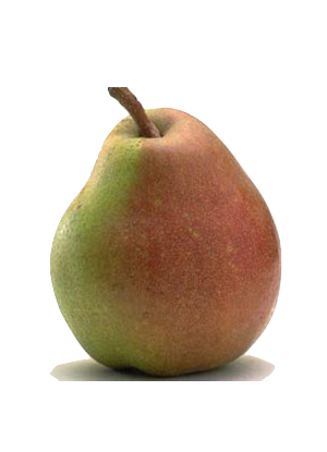 Peras Frifruit - imagen 5